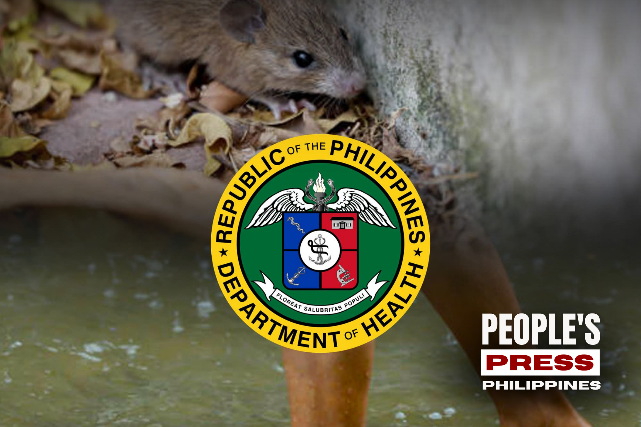 DOH Reports Continuous Decline in Leptospirosis Cases Nationwide